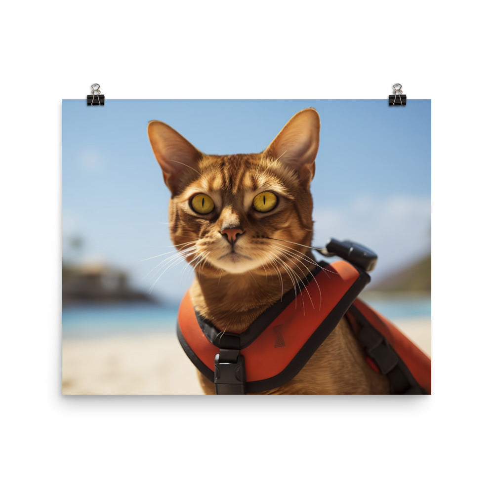 Abyssinian Lifeguard Photo paper poster - PosterfyAI.com