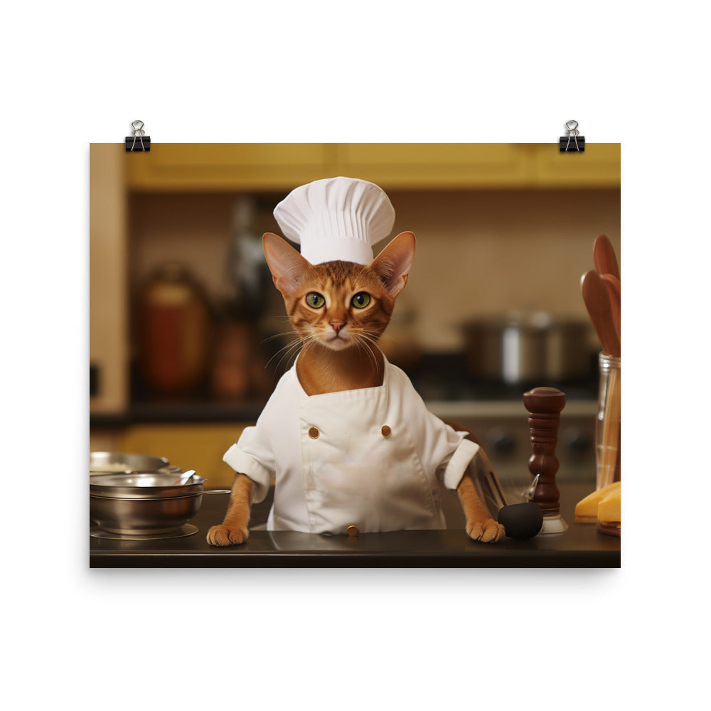 Abyssinian Chef Photo paper poster - PosterfyAI.com