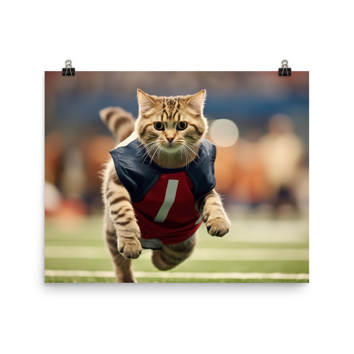 Scottish Fold Football Player Photo paper poster - PosterfyAI.com