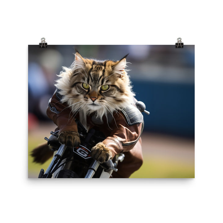 Maine Coon Superbike Athlete Photo paper poster - PosterfyAI.com