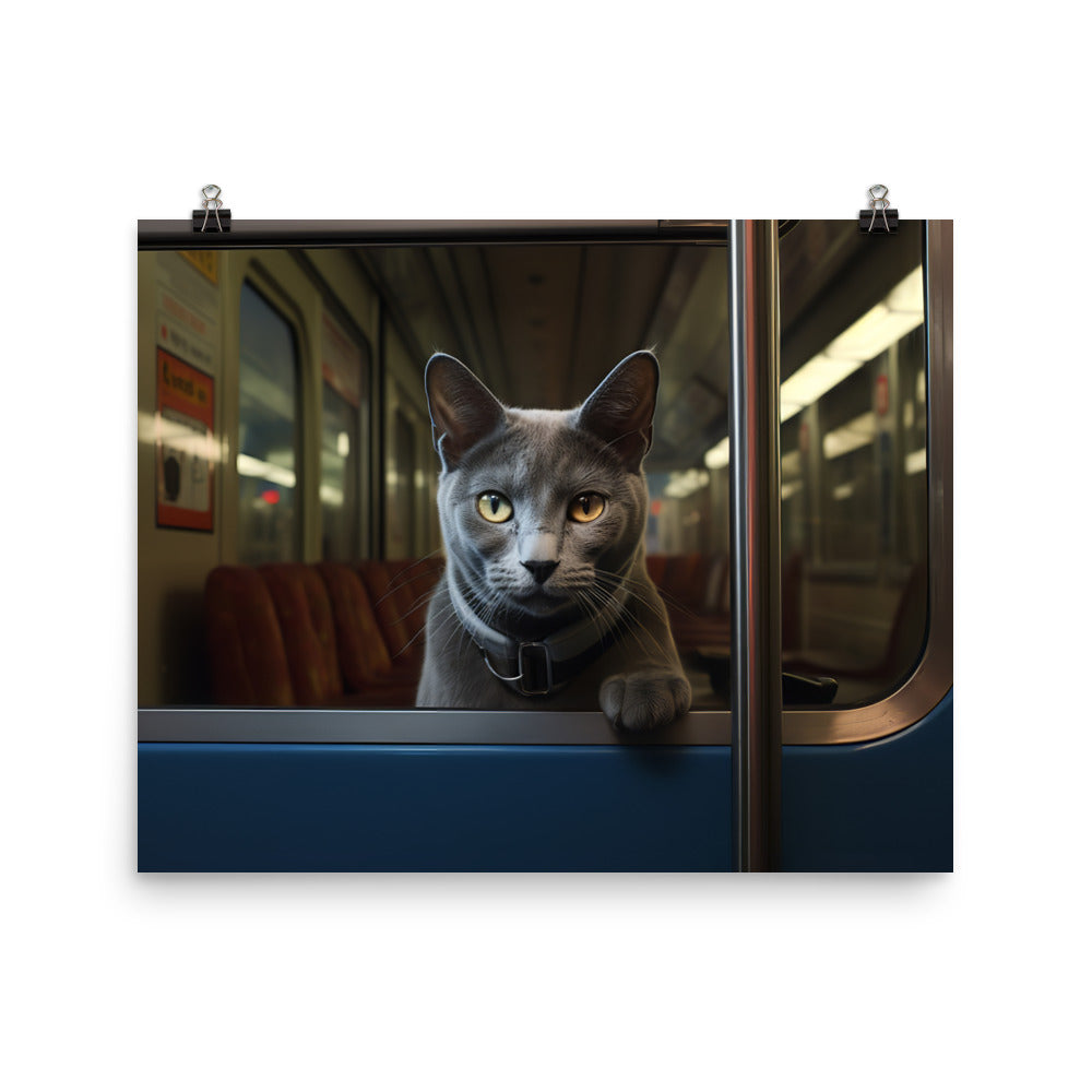 Russian Blue Transit Operator Photo paper poster - PosterfyAI.com