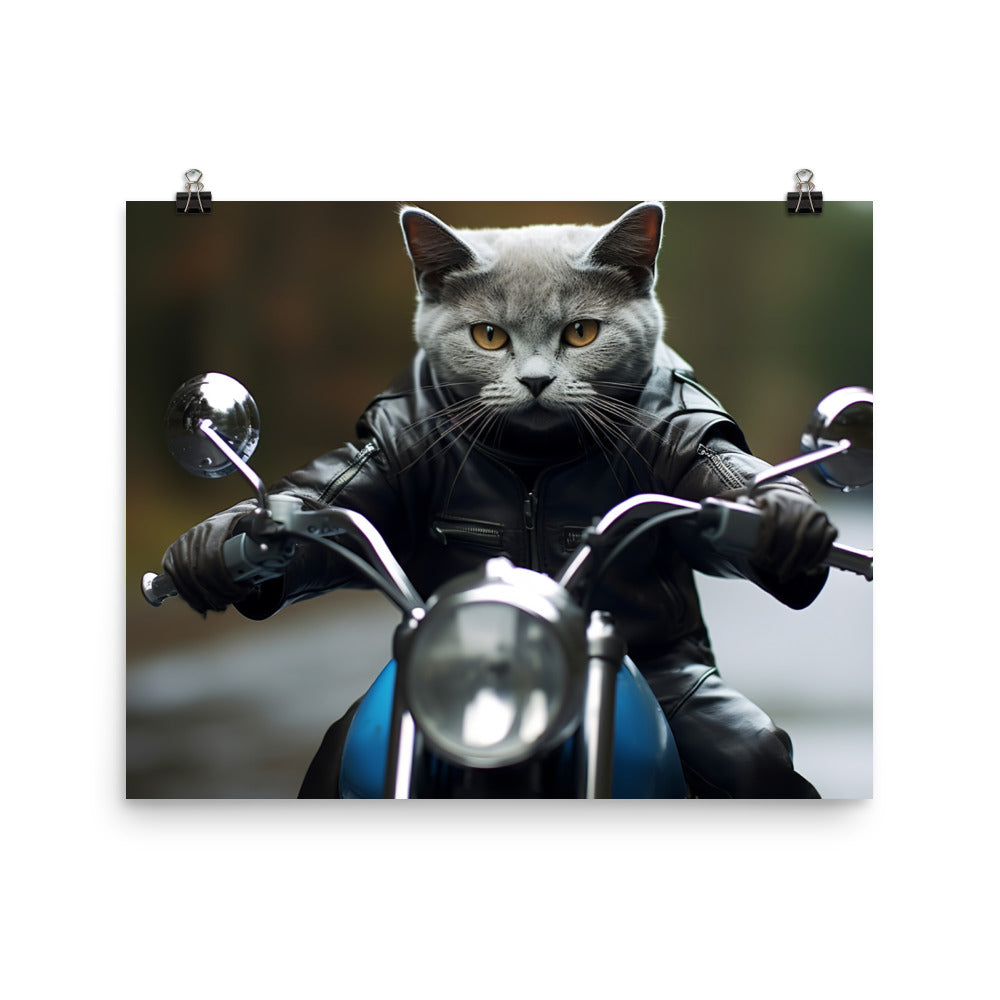 Russian Blue Superbike Athlete Photo paper poster - PosterfyAI.com