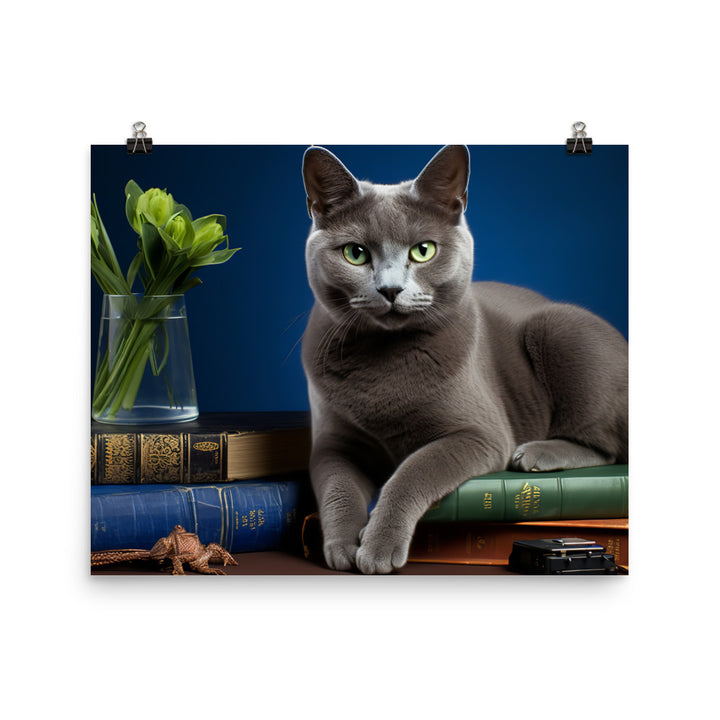 Russian Blue Student Photo paper poster - PosterfyAI.com