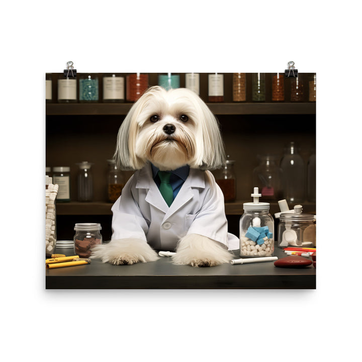 Lhasa Apso Pharmacist Photo paper poster - PosterfyAI.com