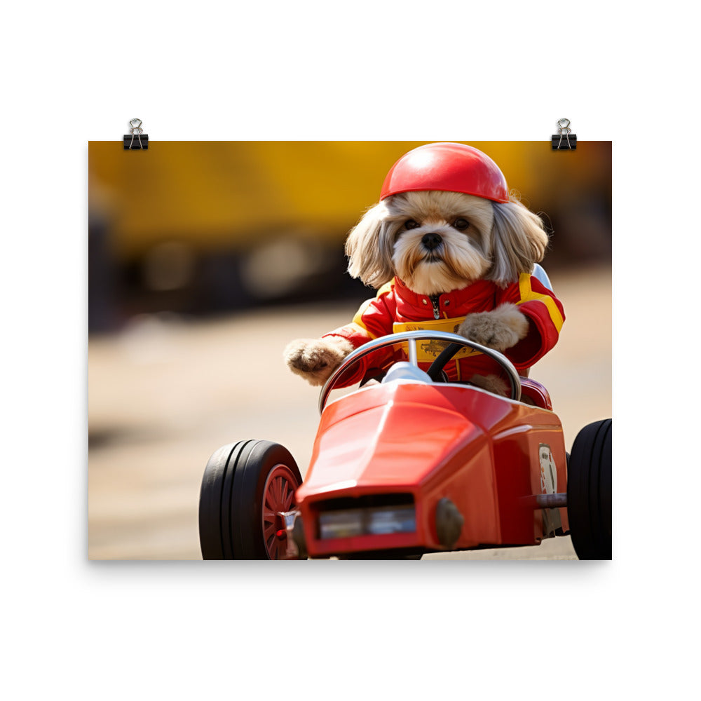 Lhasa Apso Motorsport Athlete Photo paper poster - PosterfyAI.com