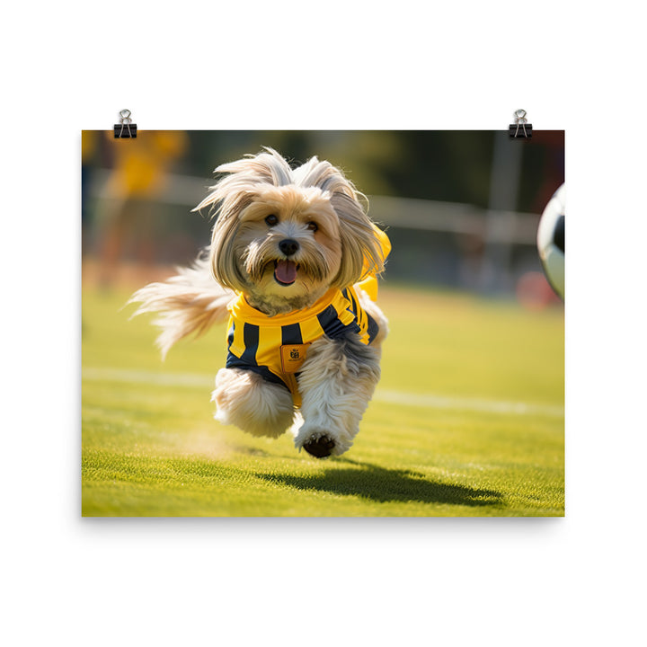 Lhasa Apso Football Player Photo paper poster - PosterfyAI.com