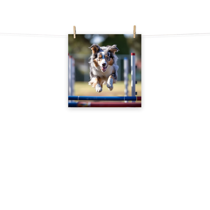 Australian Shepherd Photo paper poster - PosterfyAI.com