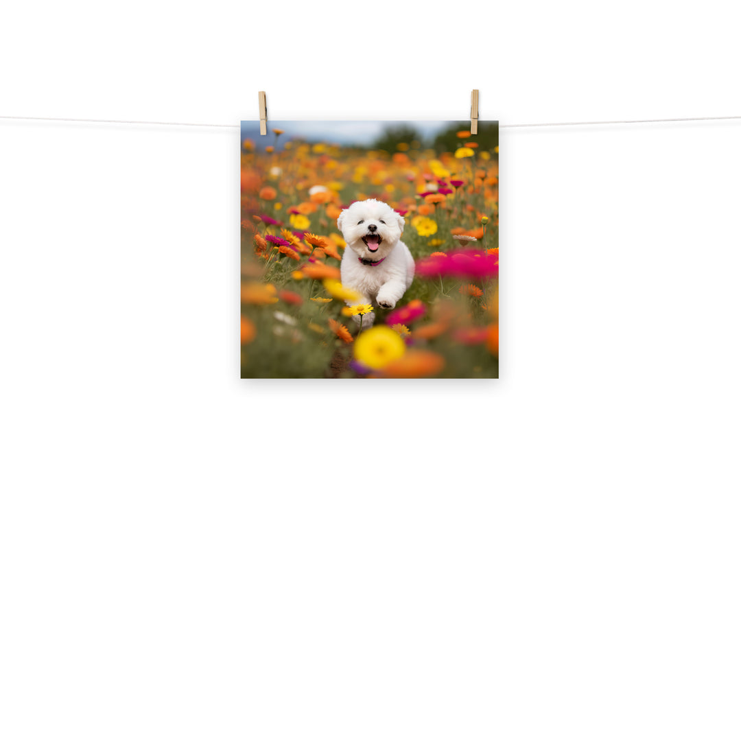 Bichon Frise Photo paper poster - PosterfyAI.com