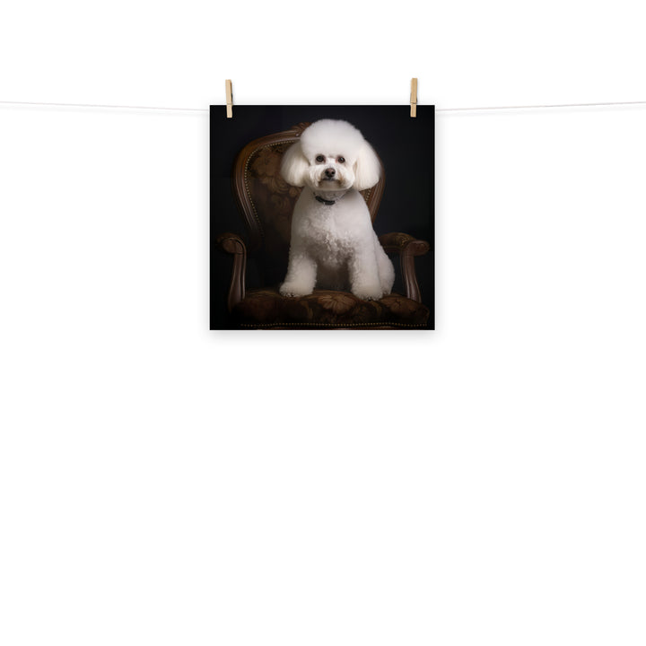 Bichon Frise Photo paper poster - PosterfyAI.com