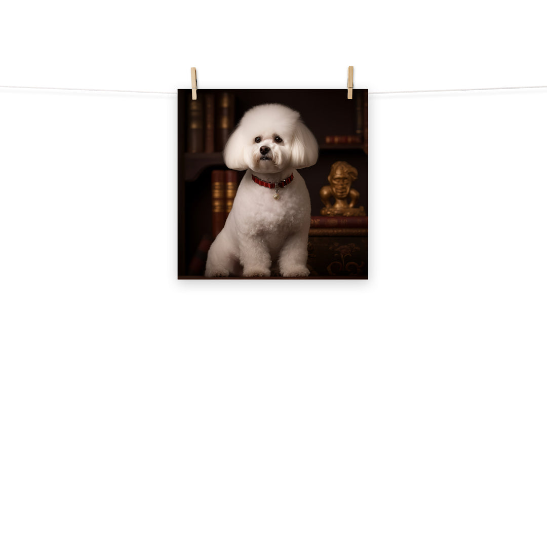 Bichon Frise Photo paper poster - PosterfyAI.com