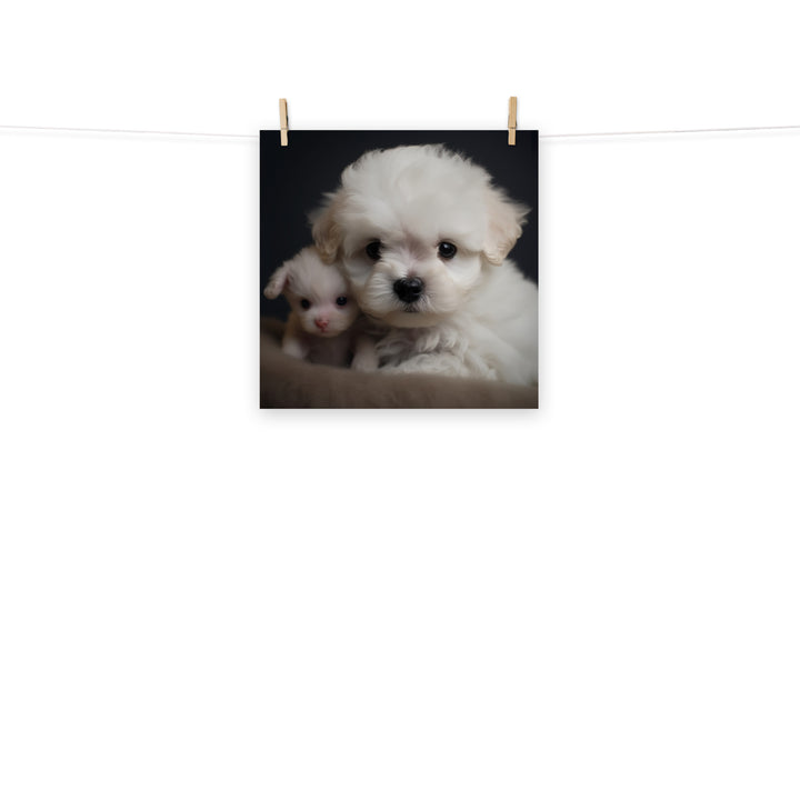 Bichon Frise Photo paper poster - PosterfyAI.com