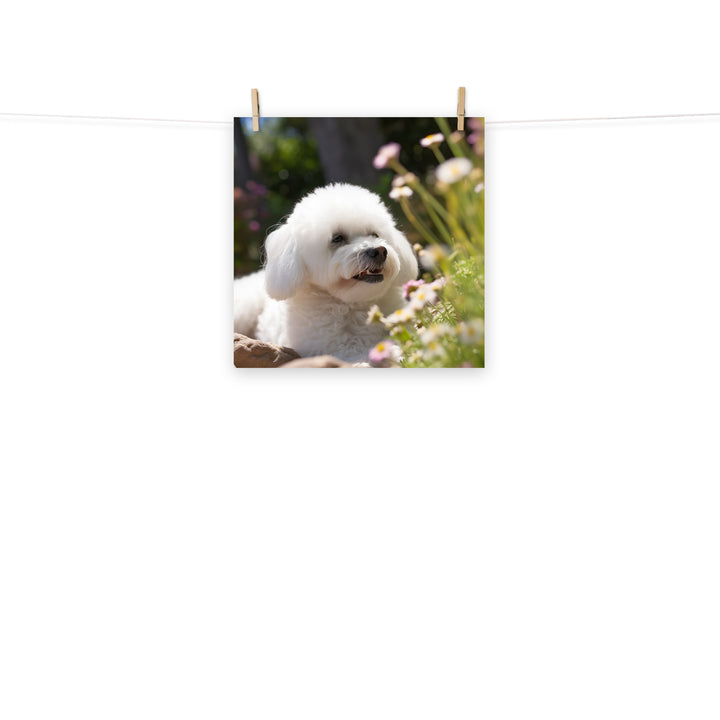 Bichon Frise Photo paper poster - PosterfyAI.com