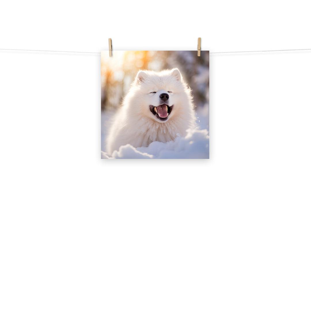 Samoyed Photo paper poster - PosterfyAI.com