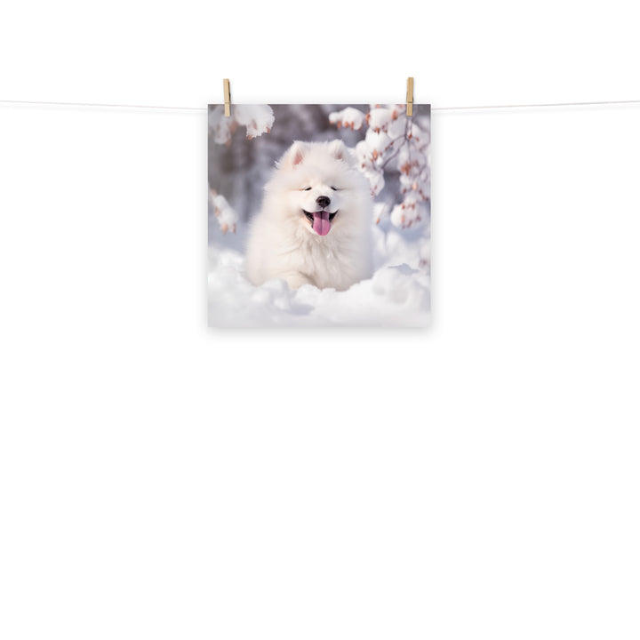 Samoyed Photo paper poster - PosterfyAI.com