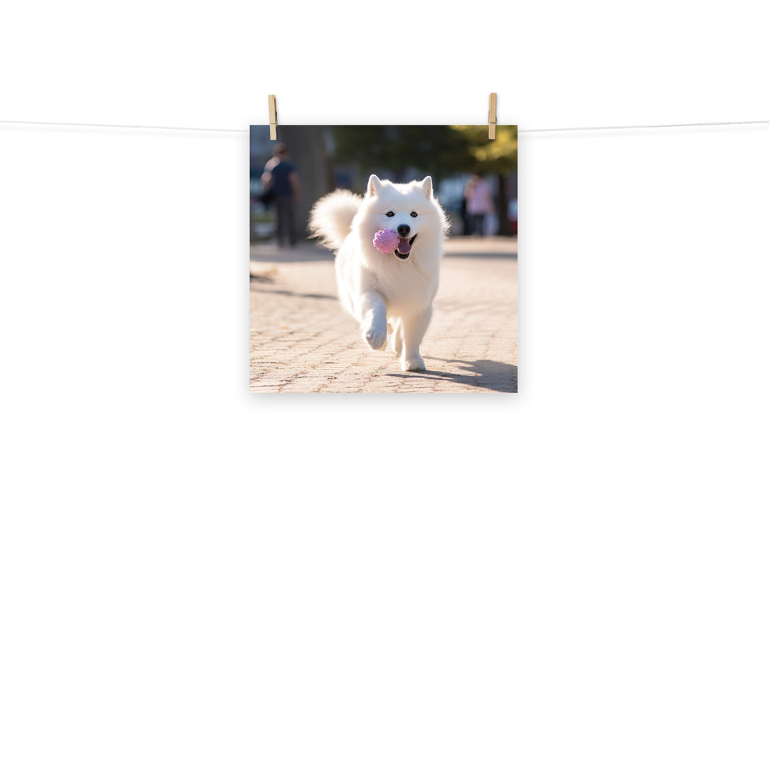 Samoyed Photo paper poster - PosterfyAI.com