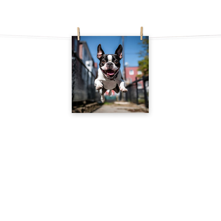 Boston Terrier Photo paper poster - PosterfyAI.com