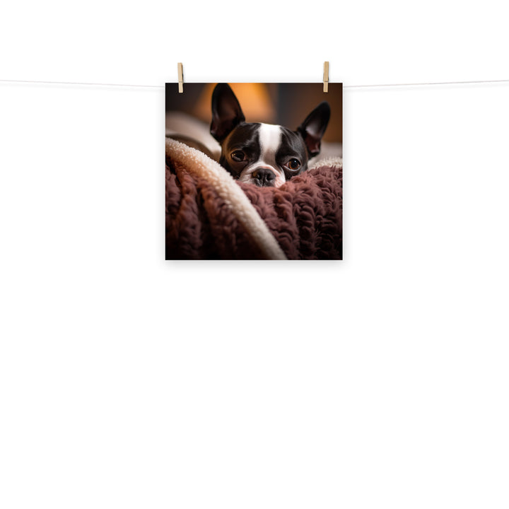 Boston Terrier Photo paper poster - PosterfyAI.com