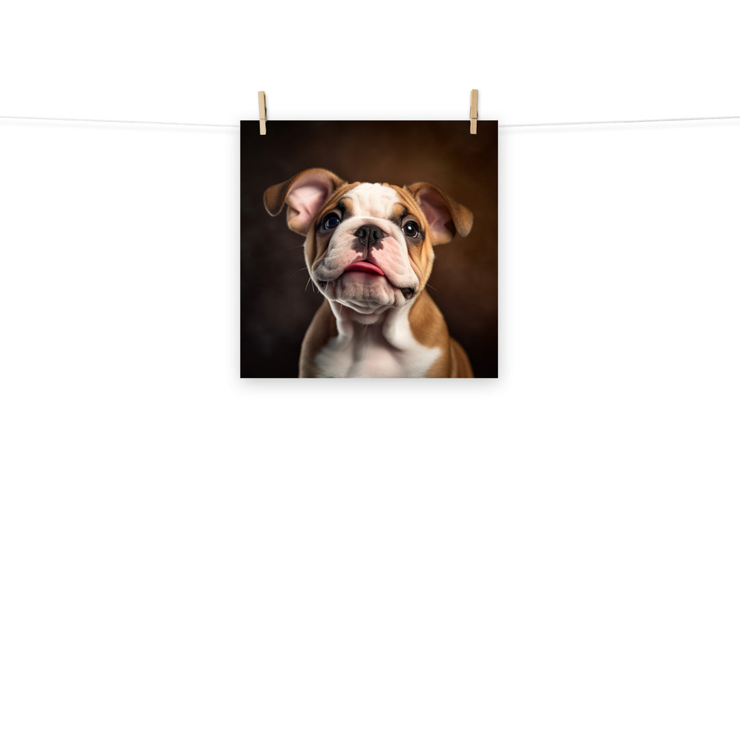 Bulldog Photo paper poster - PosterfyAI.com