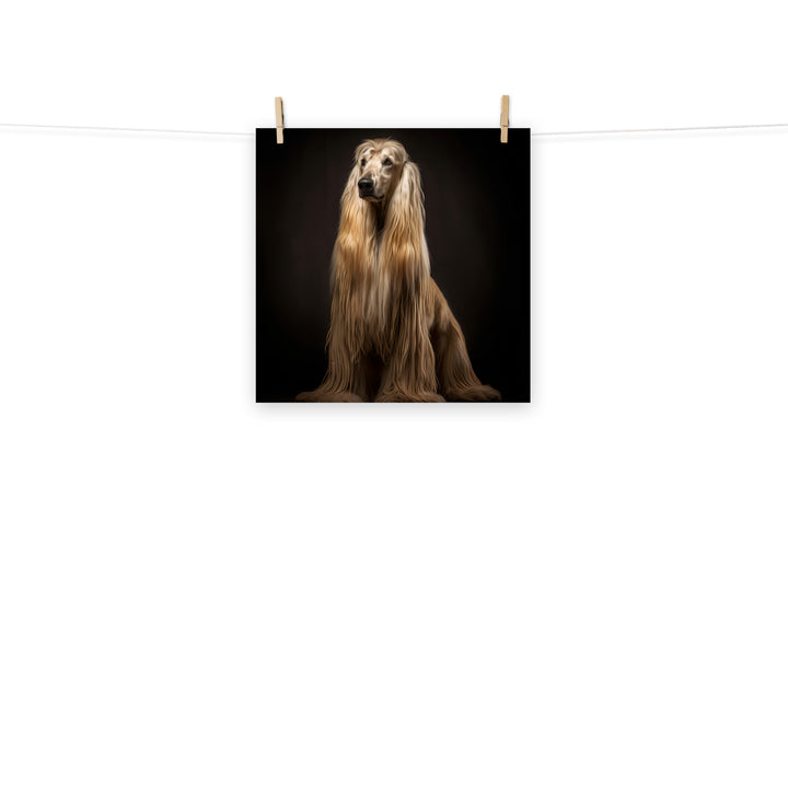 Afghan Hound Photo paper poster - PosterfyAI.com