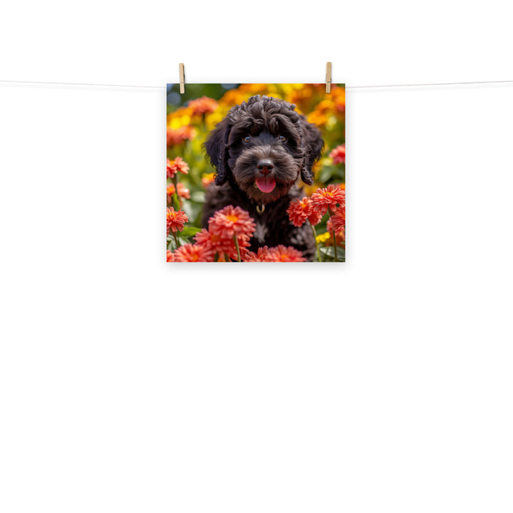 Portuguese Water Dog Photo paper poster - PosterfyAI.com