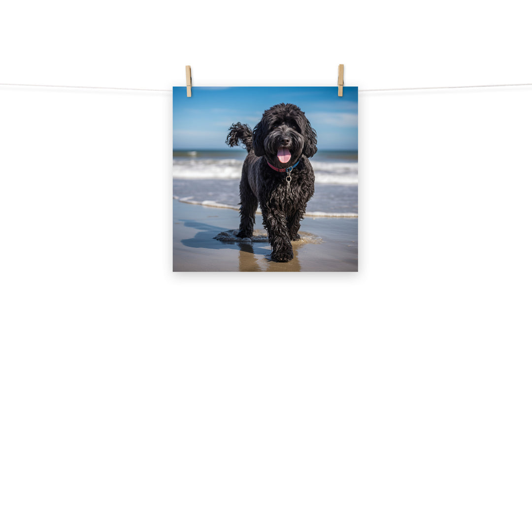 Portuguese Water Dog Photo paper poster - PosterfyAI.com