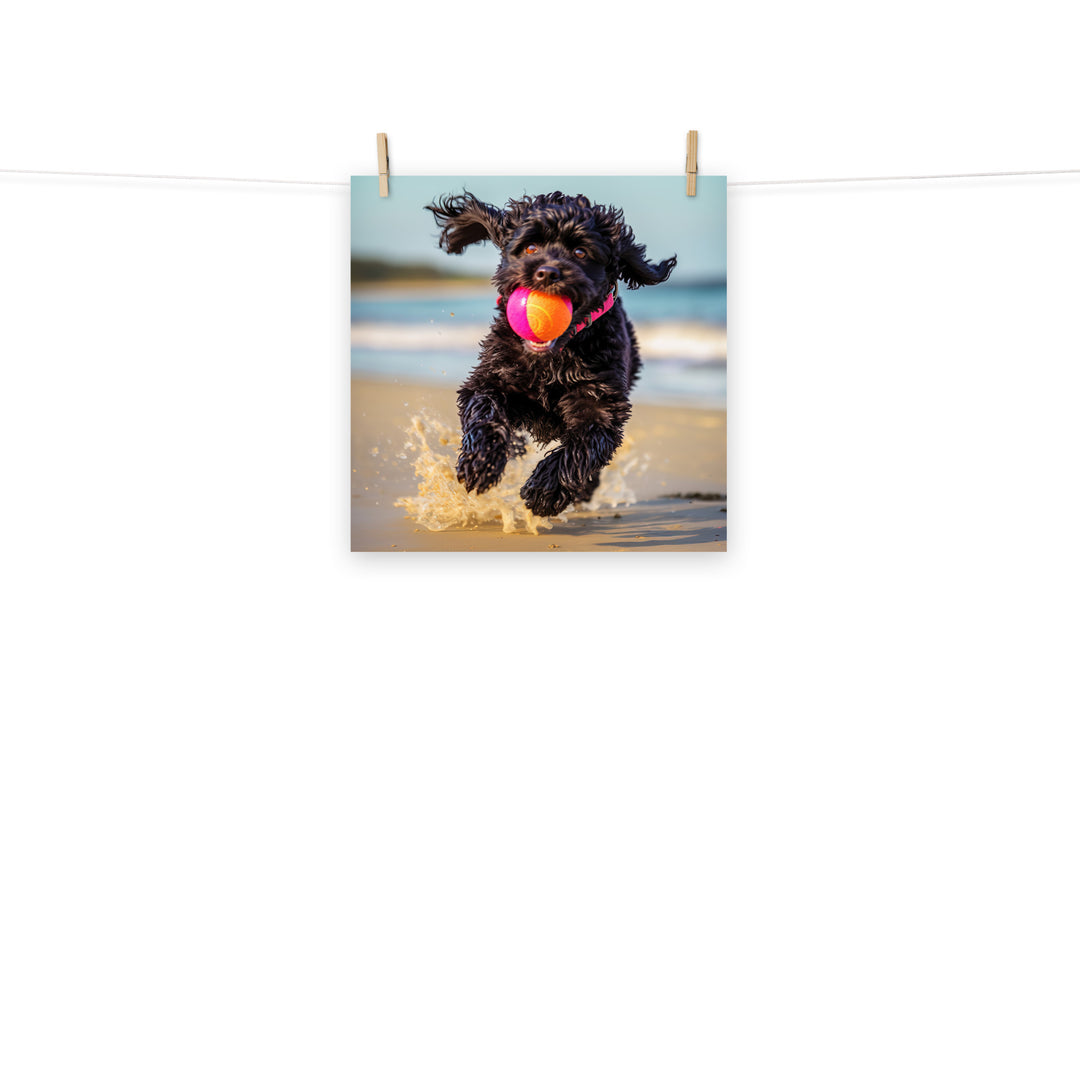 Portuguese Water Dog Photo paper poster - PosterfyAI.com