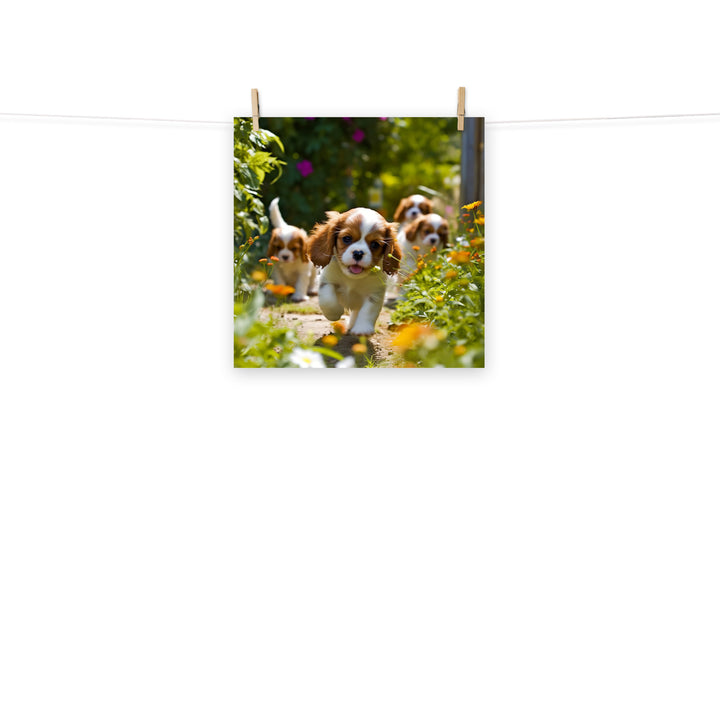 Cavalier King Charles Photo paper poster - PosterfyAI.com