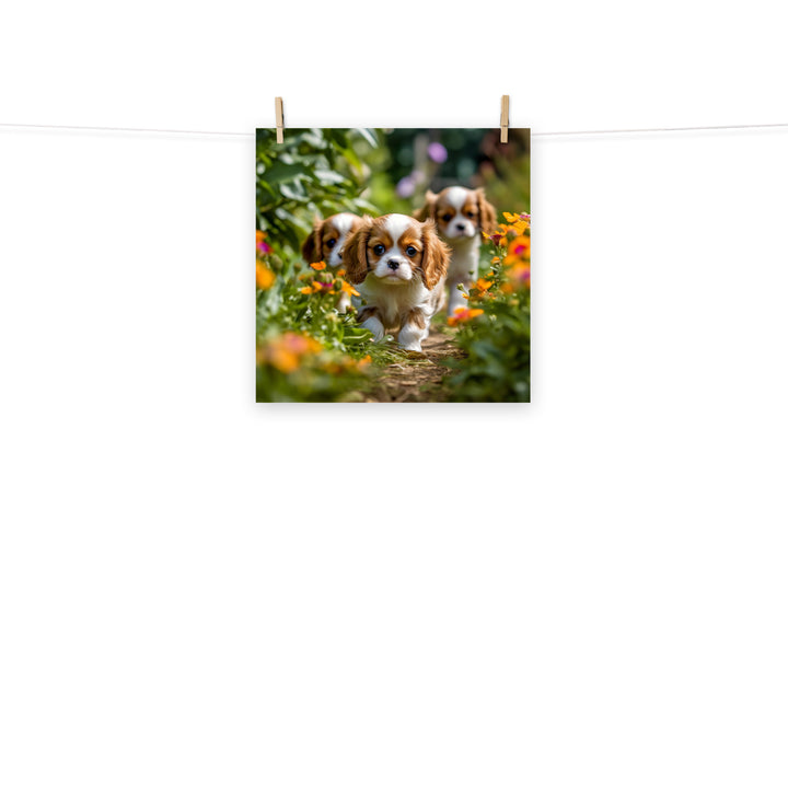 Cavalier King Charles Photo paper poster - PosterfyAI.com