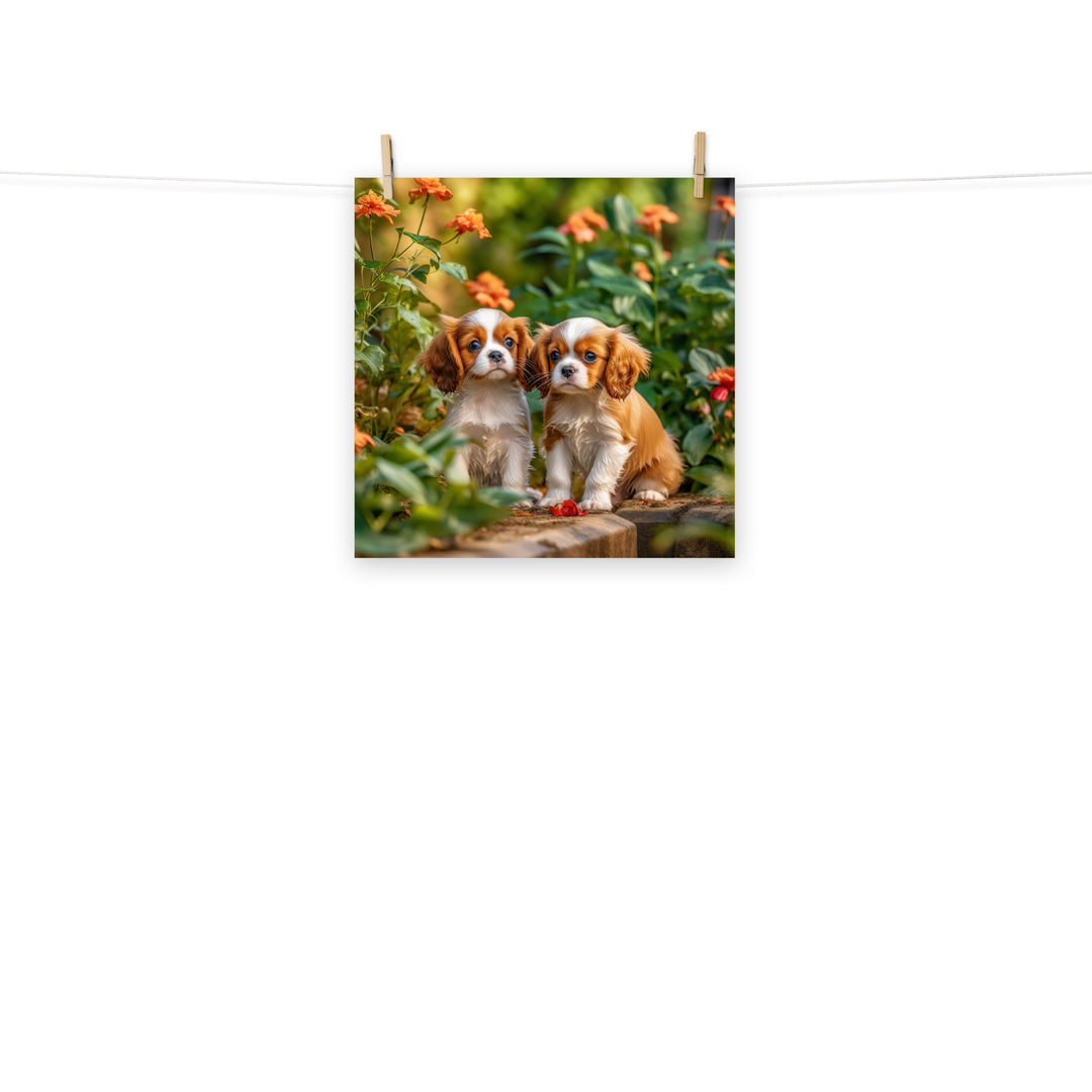 Cavalier King Charles Photo paper poster - PosterfyAI.com