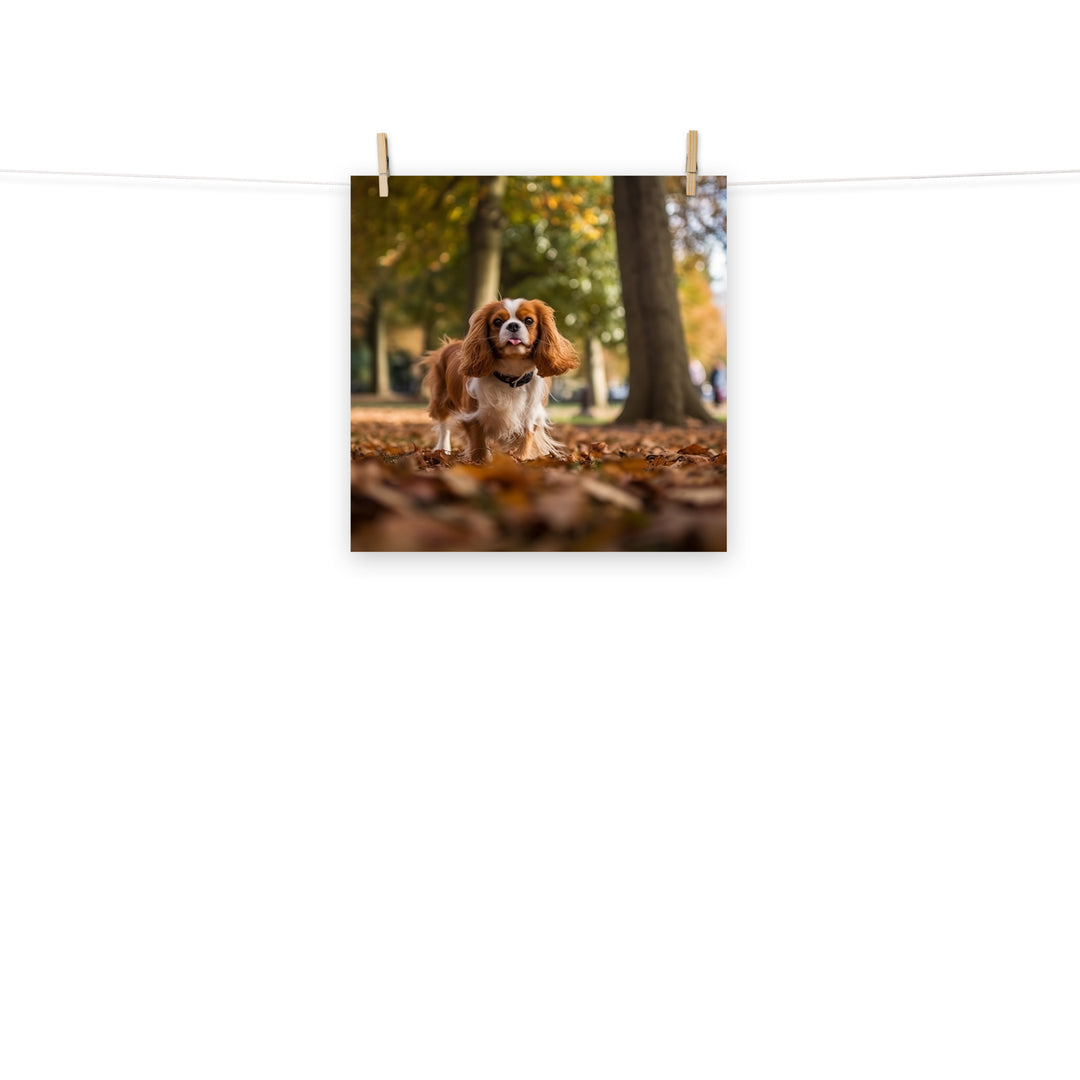 Cavalier King Charles Photo paper poster - PosterfyAI.com