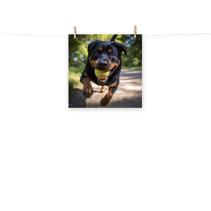 Rottweiler Photo paper poster - PosterfyAI.com