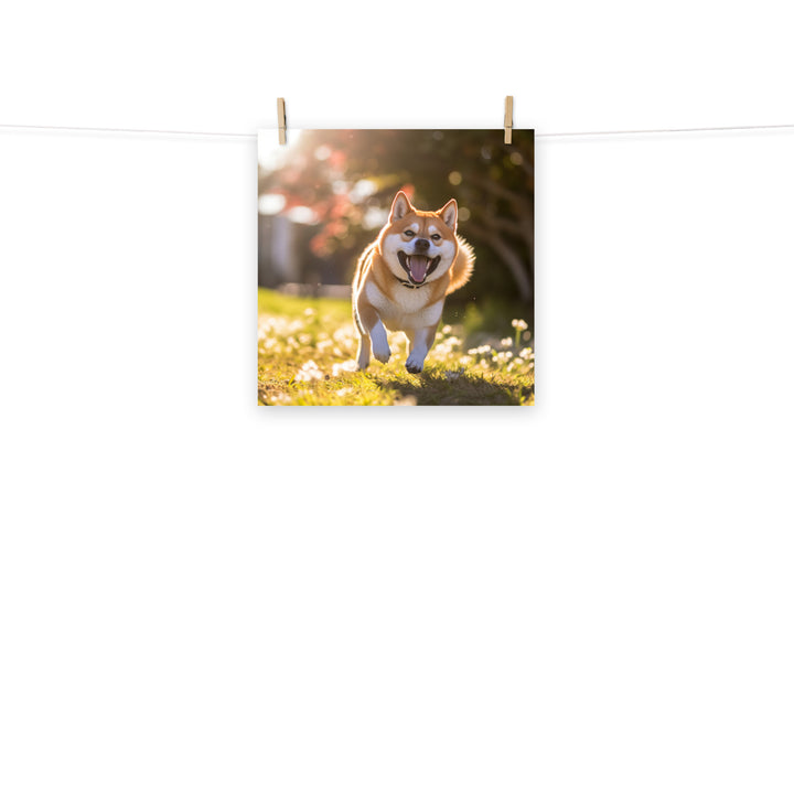 Shiba Inu Photo paper poster - PosterfyAI.com