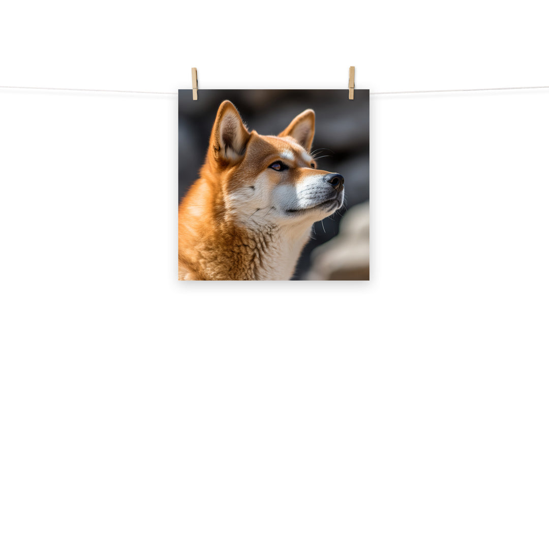 Shiba Inu Photo paper poster - PosterfyAI.com