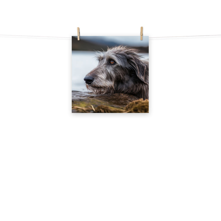 Scottish Deerhound Photo paper poster - PosterfyAI.com