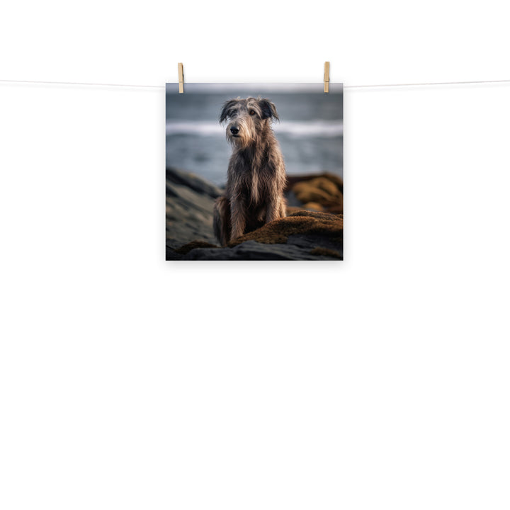 Scottish Deerhound Photo paper poster - PosterfyAI.com