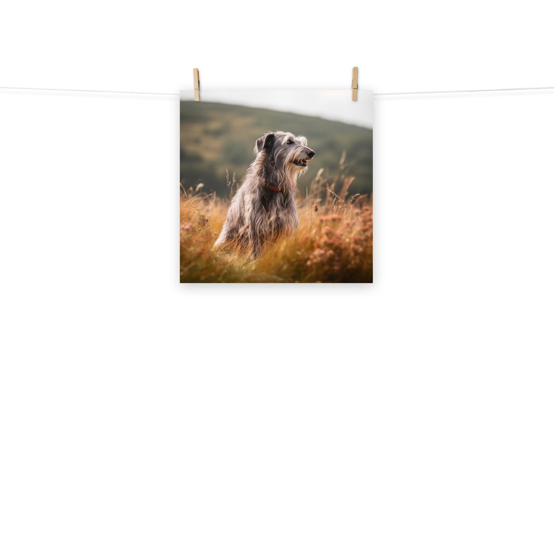 Scottish Deerhound Photo paper poster - PosterfyAI.com