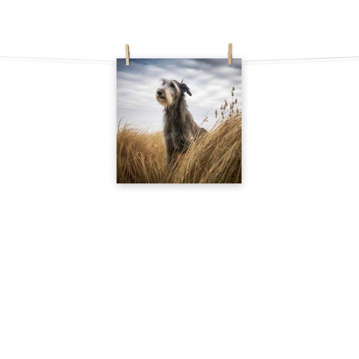 Scottish Deerhound Photo paper poster - PosterfyAI.com