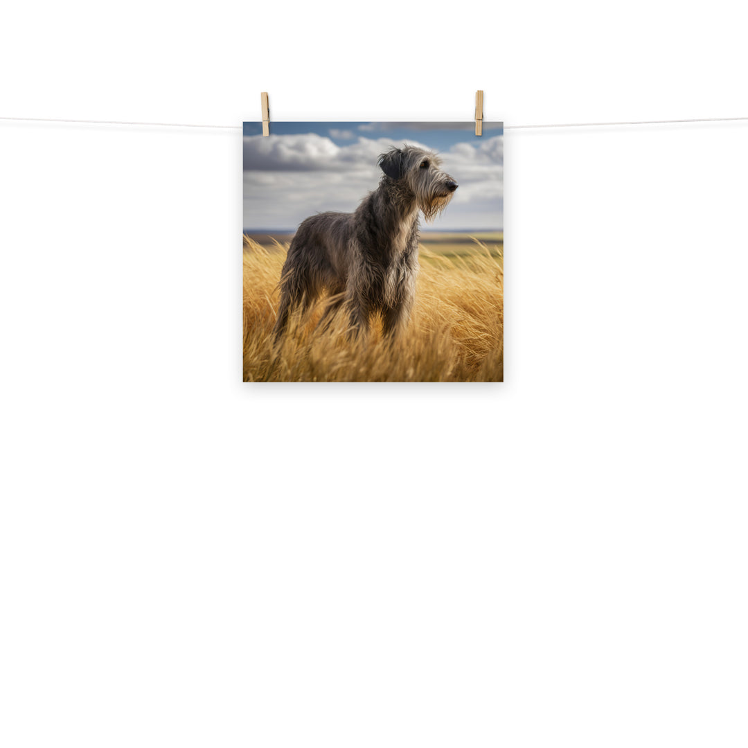 Scottish Deerhound Photo paper poster - PosterfyAI.com