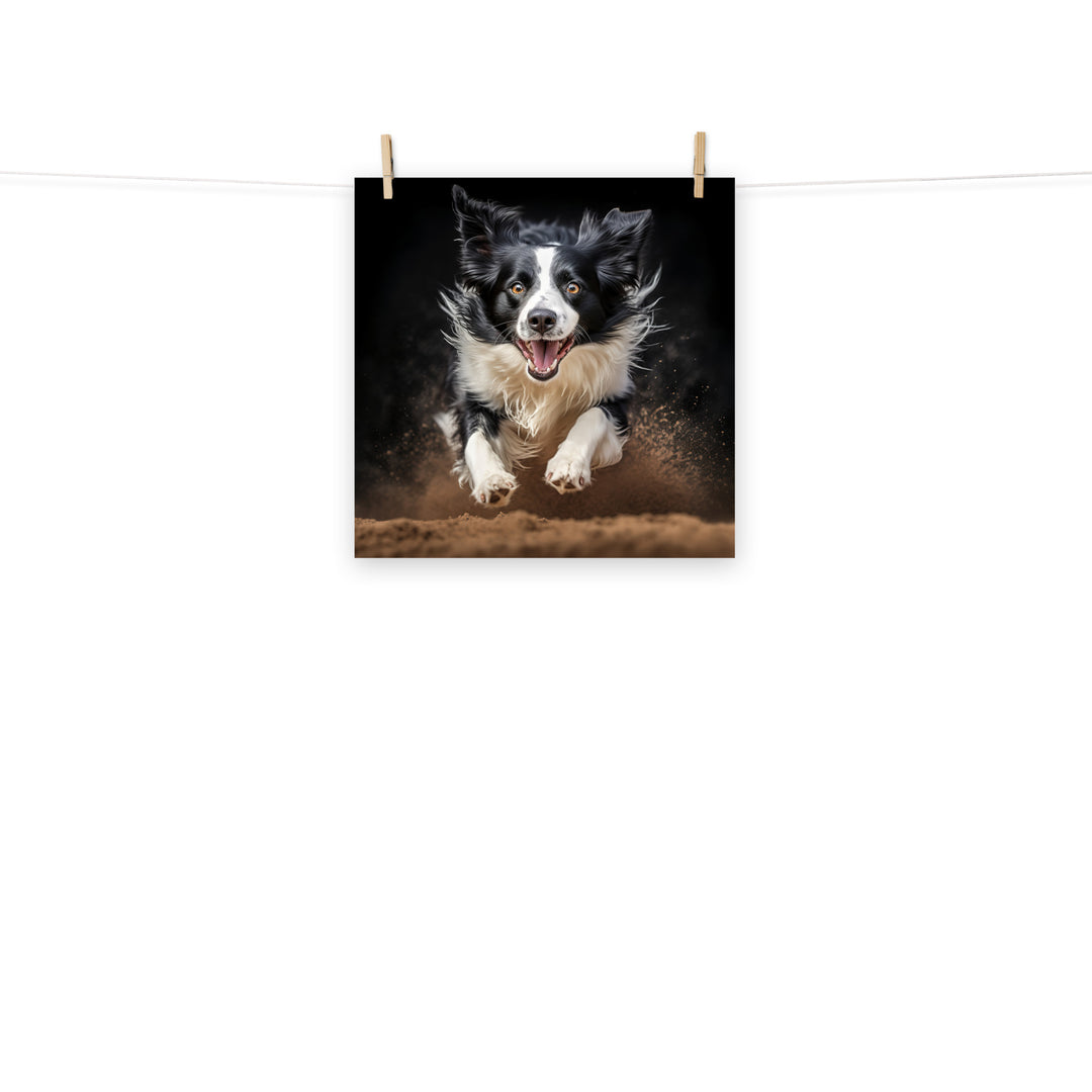 Border Collie Photo paper poster - PosterfyAI.com