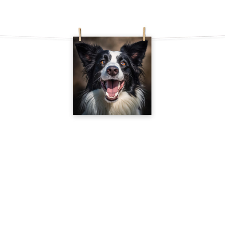 Border Collie Photo paper poster - PosterfyAI.com