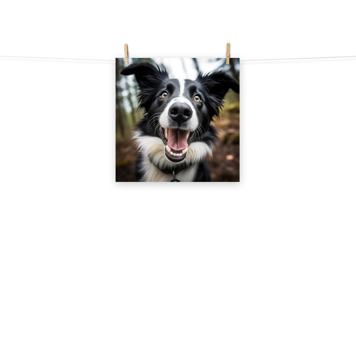 Border Collie Photo paper poster - PosterfyAI.com