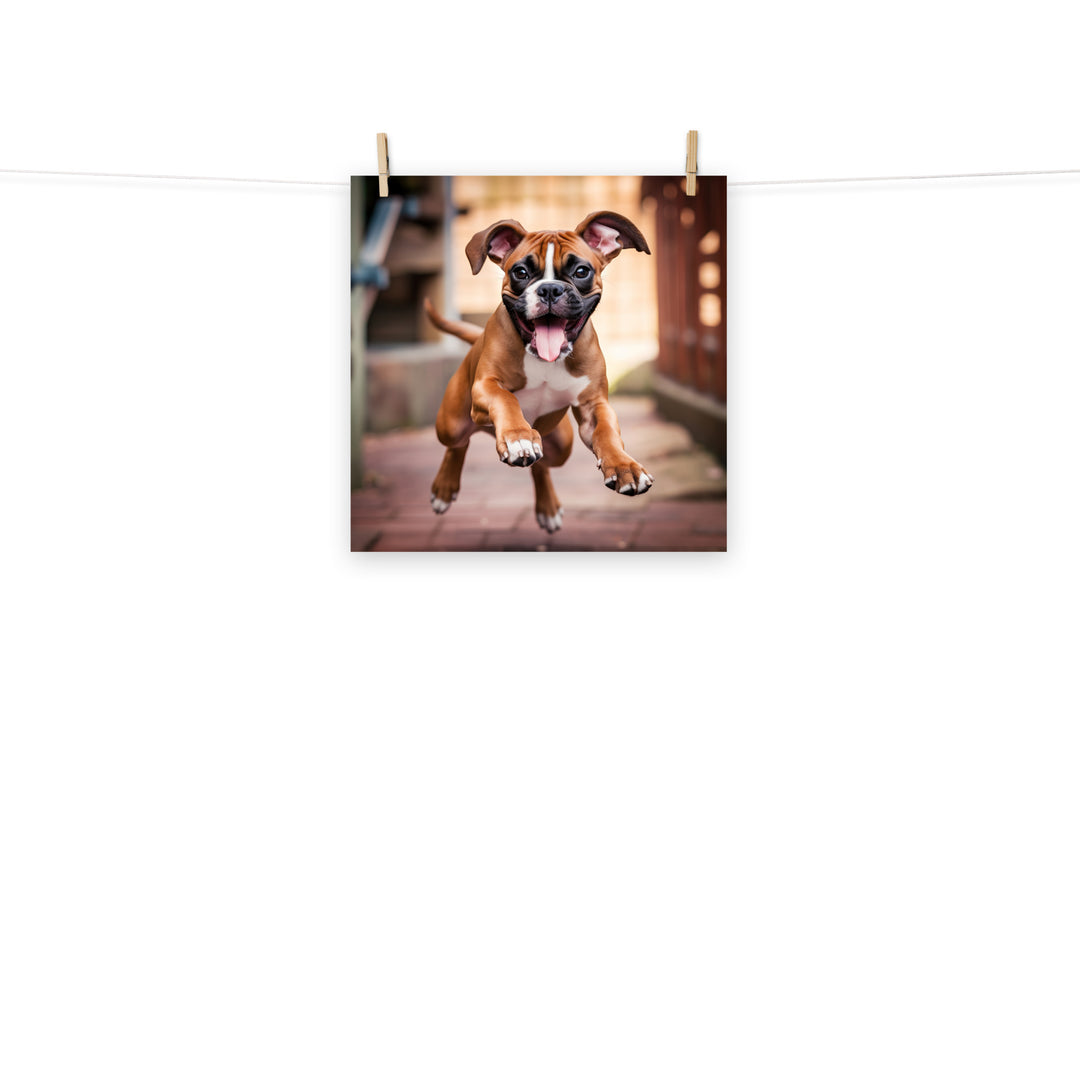 Boxer Photo paper poster - PosterfyAI.com