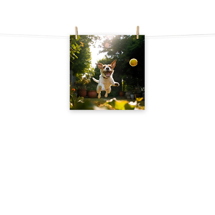 Jack Russell Terrier Photo paper poster - PosterfyAI.com