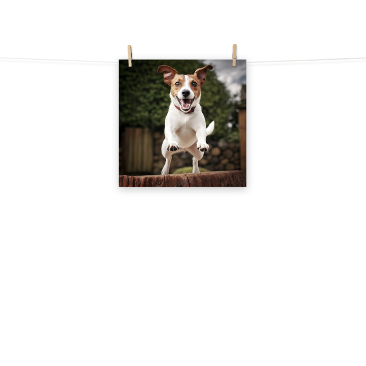 Jack Russell Terrier Photo paper poster - PosterfyAI.com