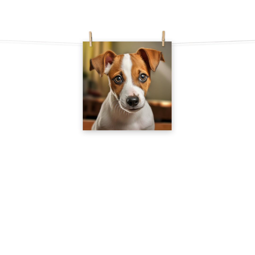 Jack Russell Terrier Photo paper poster - PosterfyAI.com