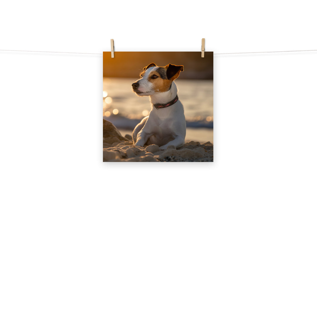 Jack Russell Terrier Photo paper poster - PosterfyAI.com