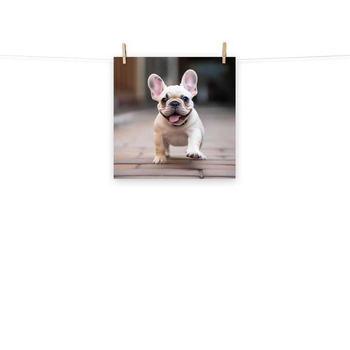 French Bulldog Photo paper poster - PosterfyAI.com