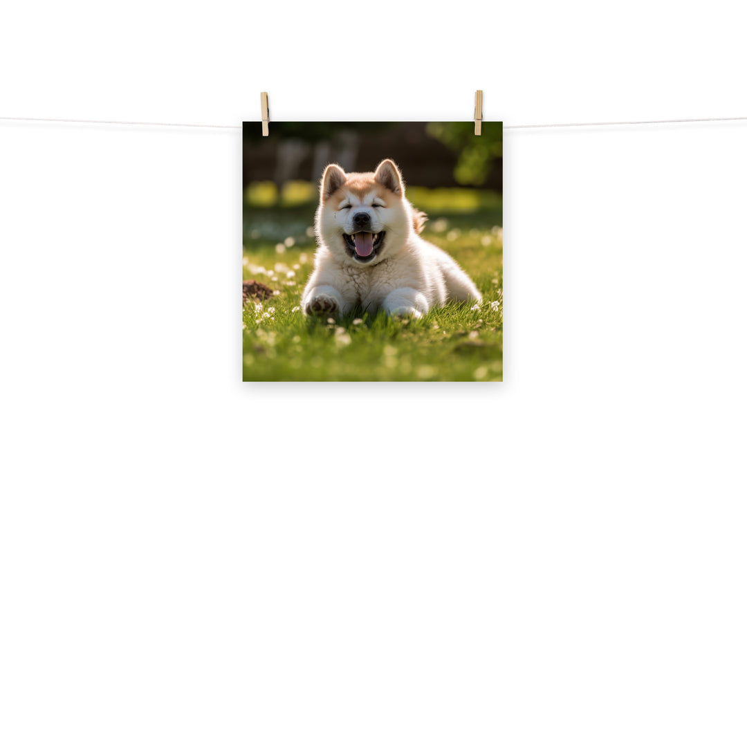 Akita Photo paper poster - PosterfyAI.com