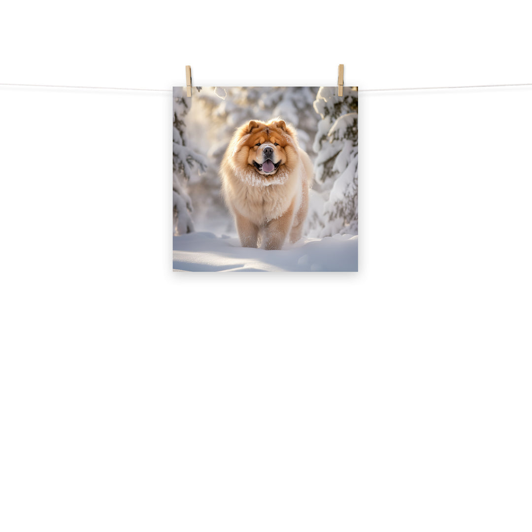 Chow Chow Photo paper poster - PosterfyAI.com