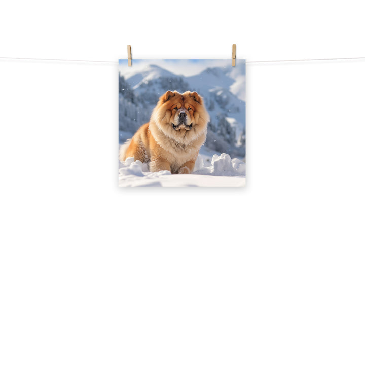 Chow Chow Photo paper poster - PosterfyAI.com